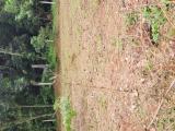 Valuable land for sale in the heart of Gampaha