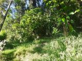 A 15 perches residential land for sale near to Wattegama city.