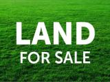 Prime Land for Sale - Nittambuwa | නිට්ටඹුව නුවර පාර අද්දර  වටිනා බිම් කොටසක්