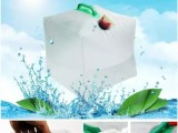 Portable water bag