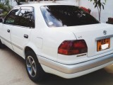 Toyota Corolla 1996 (Used)