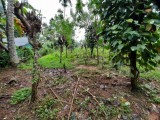 10P Flat Land For Sale - Kandy | Pilimathalawa