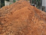 Red soil | රතු පස් ( Rathu pas )