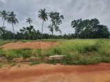 Land for sale near the anuradhapura new bus stand