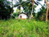 Land for sale in Thissamaharamaya