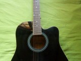 Guitar(Maverick M310)