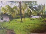 Land for sale in Nittambuwa