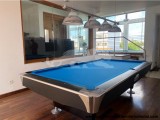 Pool Table (International Tournament Standard)