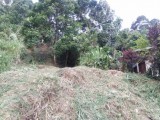 Valuable land for sale in a convenient location at Peradeniya