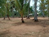 Residential Land For sale - Wellawa Kurunegala