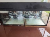 Fish tank with roof
