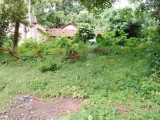 Land for sale in minuwangoda
