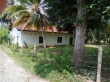 sale for land with house and paddyfield