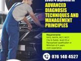 City & Guilds - UK Level 4 Diploma in Advanced Vehicle Diagnostics and Management Principles
