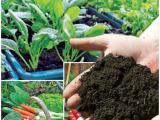 Organic Compost Fertilizer (කොම්පොස්ට් පොහොර)