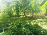 Land For sale In Polonnaruwa