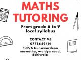 Maths tutor for local syllabus