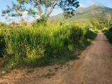 A valuable land for sale in Dambulla area