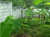 Land For Sale In Balagolla