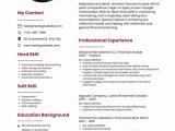 Professional Resume/CV Design and Creation