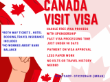 Canada Tourist Visa (No bank Balance , IELTS Needed )