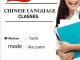 Chinese language class