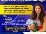 Sales Executive / Sales Manager