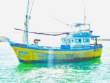 Boat For Sale