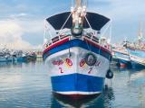 Boat For Sale