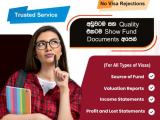 Financial Document Service For Visas