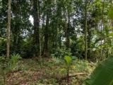 Land for sale ar hidagalla buduruliya