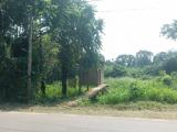වැඩිම ඉල්ලුමට ඉක්මනින් විකිණීමට.