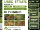 Prime lands in Puttalam available for smart investors
