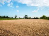Land for Sale Near Wellawaya town