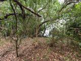 Lagoon Front Land