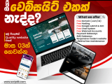 Professional Website Development Services – ScriptLK