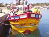 Boat For Sale