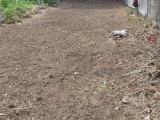 Prime Land for immediate Sale - Thalawathugoda