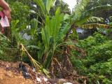 Land for sale in bokundara