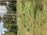 Valuable Land for Sale