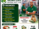 Sales Executive