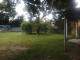 Valuable 26.9 perches  land with old house for sale in palanwatta,Kottawa