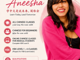 Chinese Language
