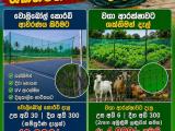 JB Fish Net Chilaw