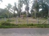Land for sale in marawilla