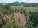 Valuable Residential Land Blocks Available for Sale in Weliweriya