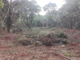 Land For Sale Mawanella,Weligalle