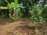 Residential land for sale in the Ambaraluwa-Weliweriya, close both Kandy and New Kandy road