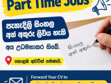 Part Time Data Entry