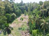 167 Perches Valuable Land for Sale in Katunayake – Ideal for Hotel or Development Project